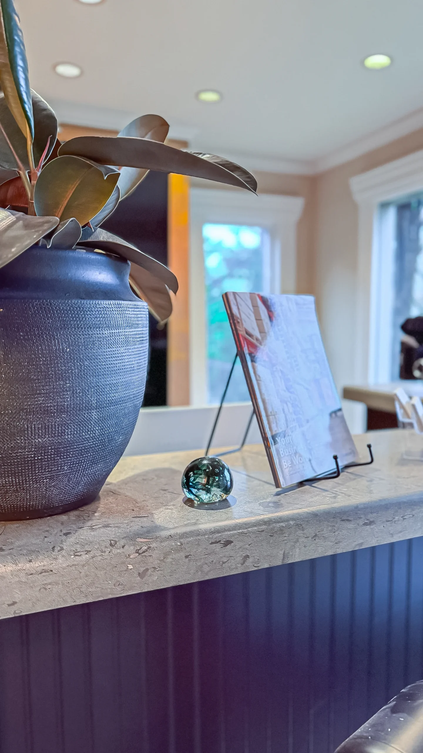 Close-up of a reception desk counter, showing a dark blue fluted cabinet base, a large rubber plant in a black pot, a clear glass sphere, and a magazine on a stand.